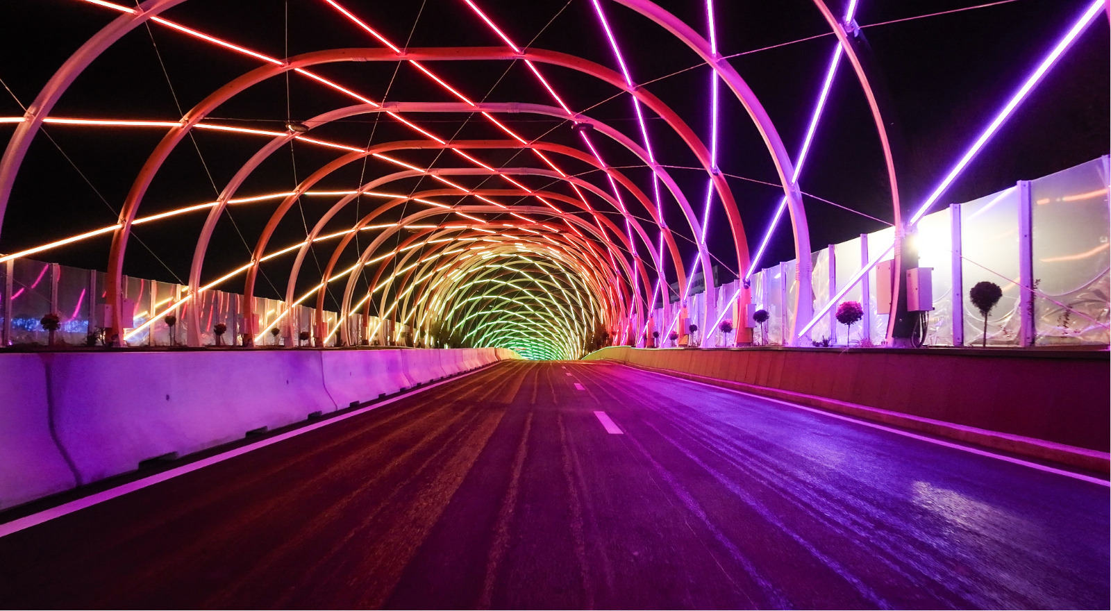 WhatsApp_Image_2024-01-29_at_14.34.49__1_